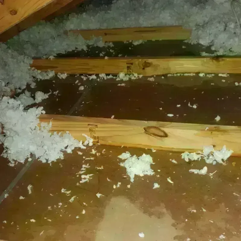 Attic Water Damage in Coal City, IL