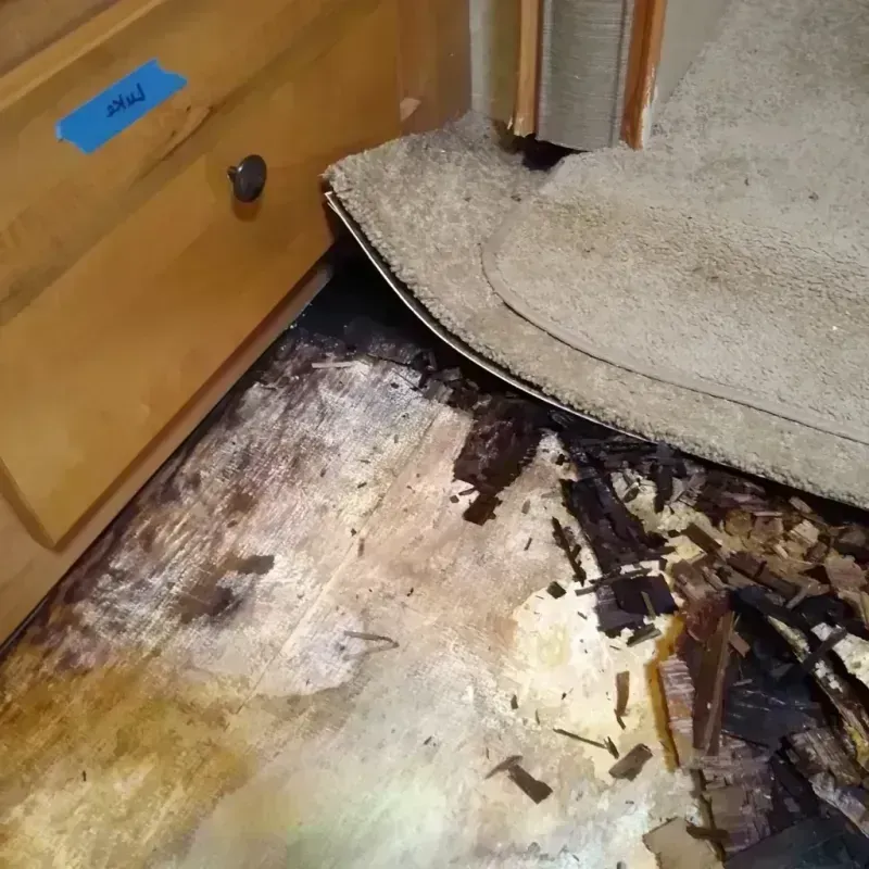 Wood Floor Water Damage in Coal City, IL